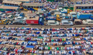 Salon.Photo Gold Medal